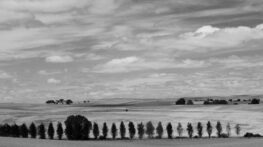 Galerie