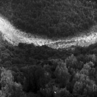 galerie forêts