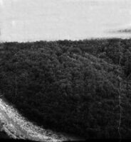galerie forêts