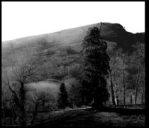 galerie monts analogues