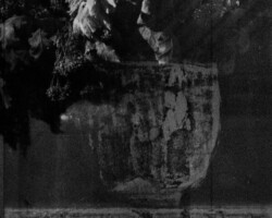 galerie bouquets