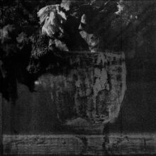 galerie bouquets