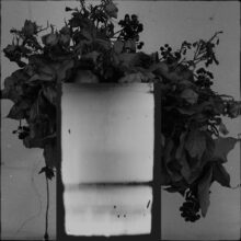 galerie bouquets