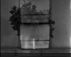 galerie bouquets