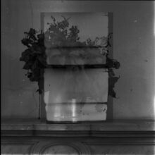 galerie bouquets