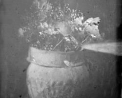 galerie bouquets