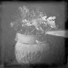 galerie bouquets