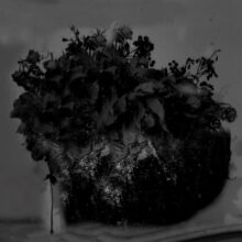 galerie bouquets