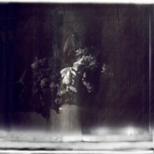 galerie bouquets