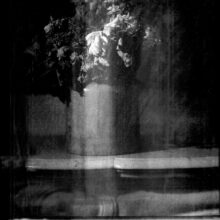 galerie bouquets