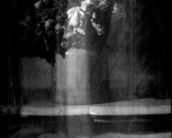galerie bouquets
