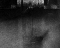 galerie traces