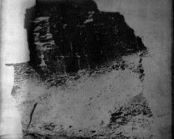 galerie traces