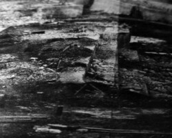 galerie traces