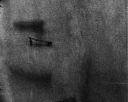 galerie traces