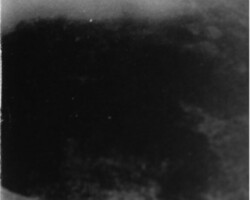 galerie traces