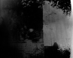 galerie traces