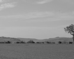 galerie terre et ciel 3