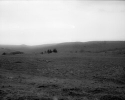 galerie terre et ciel 3