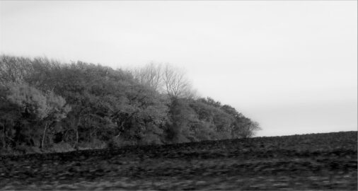 galerie terre et ciel 3