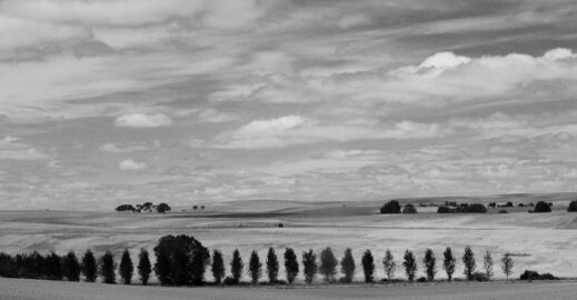 galerie terre et ciel 3