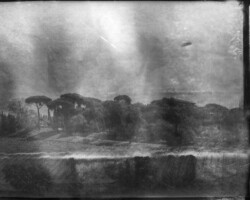 galerie exposition ombres blanches