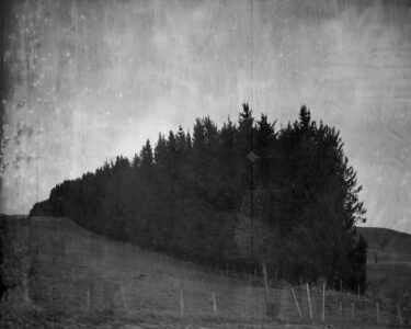 galerie exposition ombres blanches