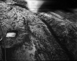 galerie exposition ombres blanches