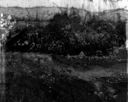 galerie exposition ombres blanches