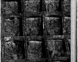 galerie exposition ombres blanches
