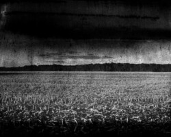galerie exposition ombres blanches