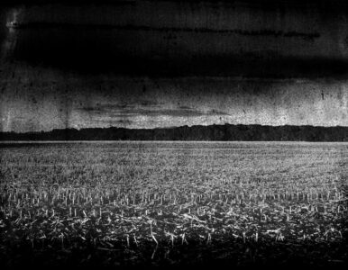 galerie exposition ombres blanches