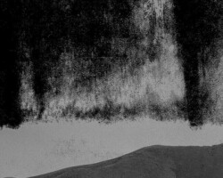 galerie exposition ombres blanches