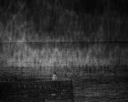 galerie exposition ombres blanches