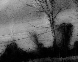 galerie exposition ombres blanches