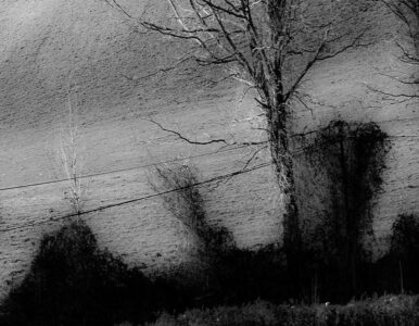 galerie exposition ombres blanches