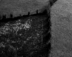 galerie exposition ombres blanches
