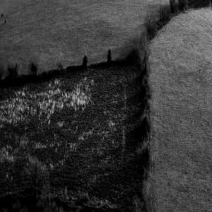 galerie exposition ombres blanches