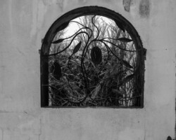 galerie exposition ombres blanches