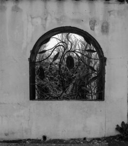 galerie exposition ombres blanches