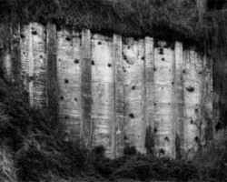 galerie exposition ombres blanches