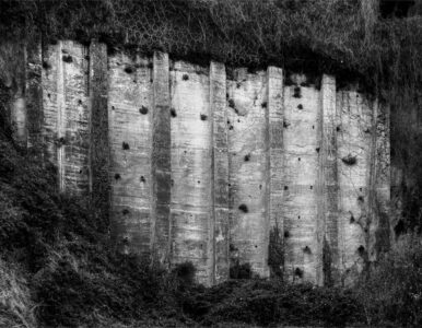 galerie exposition ombres blanches