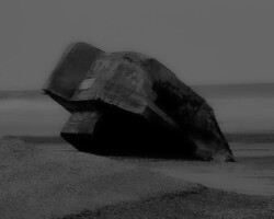 galerie exposition ombres blanches