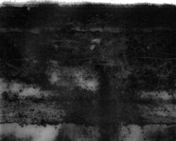 galerie exposition ombres blanches