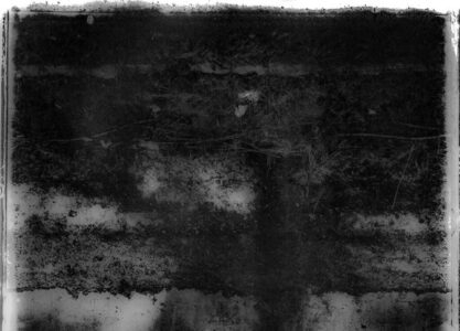 galerie exposition ombres blanches